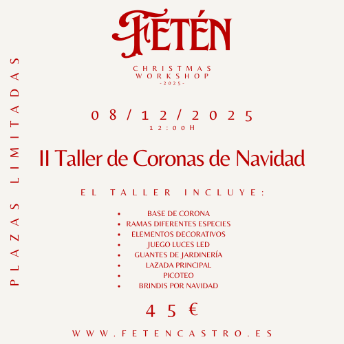 RESERVA II TALLER DE CORONAS DE NAVIDAD 08/12 A LAS 12:00H